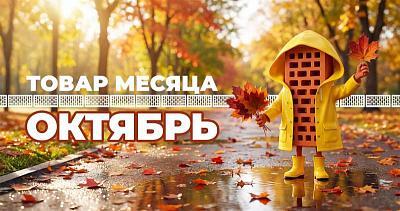 Акция Товар месяца кирпич Braer